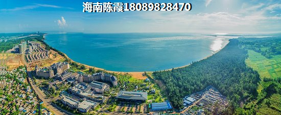 2022橡樹園價紙如何？海南?？谟惺裁窗l(fā)展前景？